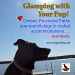 dog on dock by lake with text: glamping with your Pup! Ontario Provincal Parks now permit dogs in roofed accommodations