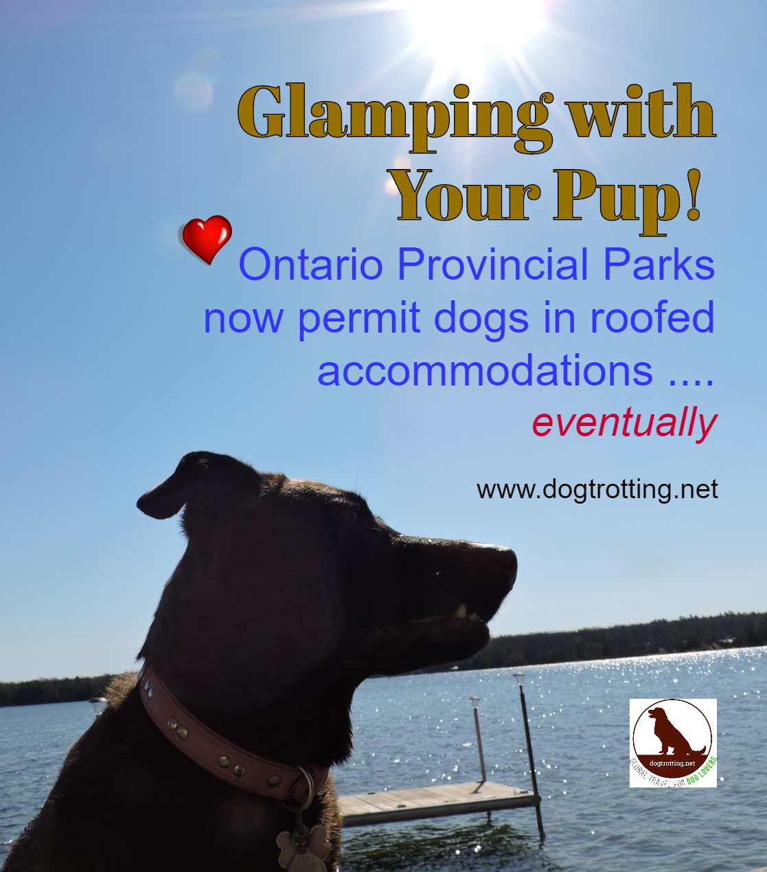 dog on dock by lake with text: glamping with your Pup! Ontario Provincal Parks now permit dogs in roofed accommodations