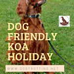 sitting Irish Setter dog with text: dog friendly KOA Holiday Sault St. Marie, Ontario
