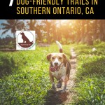 dog runningwoods - dog-friendly trails in southern ontario canada