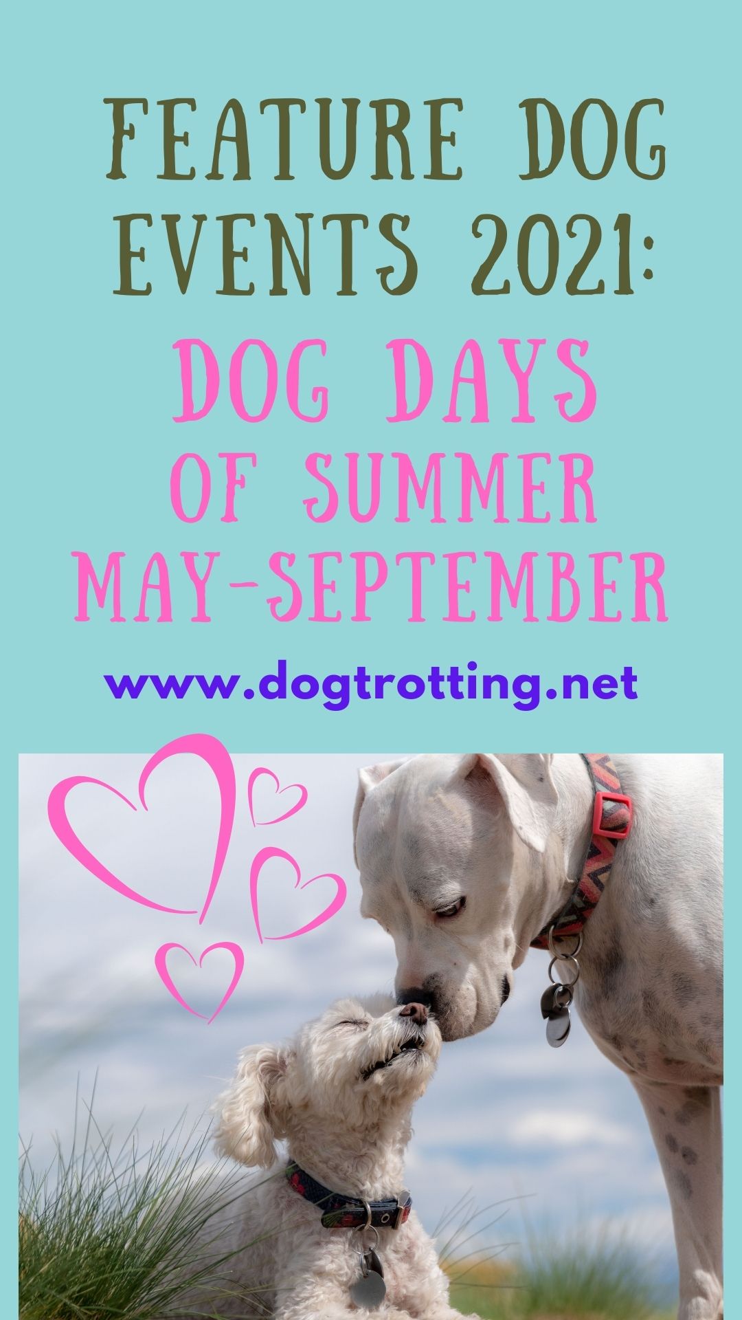 dog days of summer promo poster with two white dogs dogtrotting.net