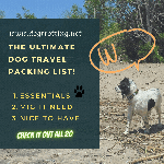 dog on beach promoting the ultimate dog travel packing list available for download
