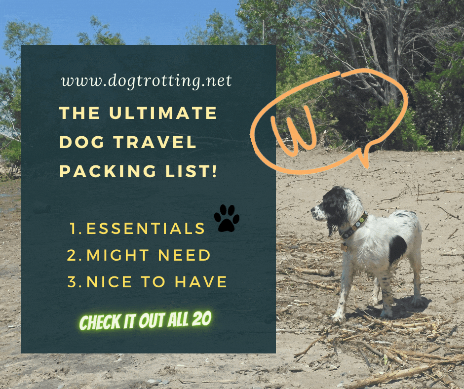 dog on beach promoting the ultimate dog travel packing list available for download