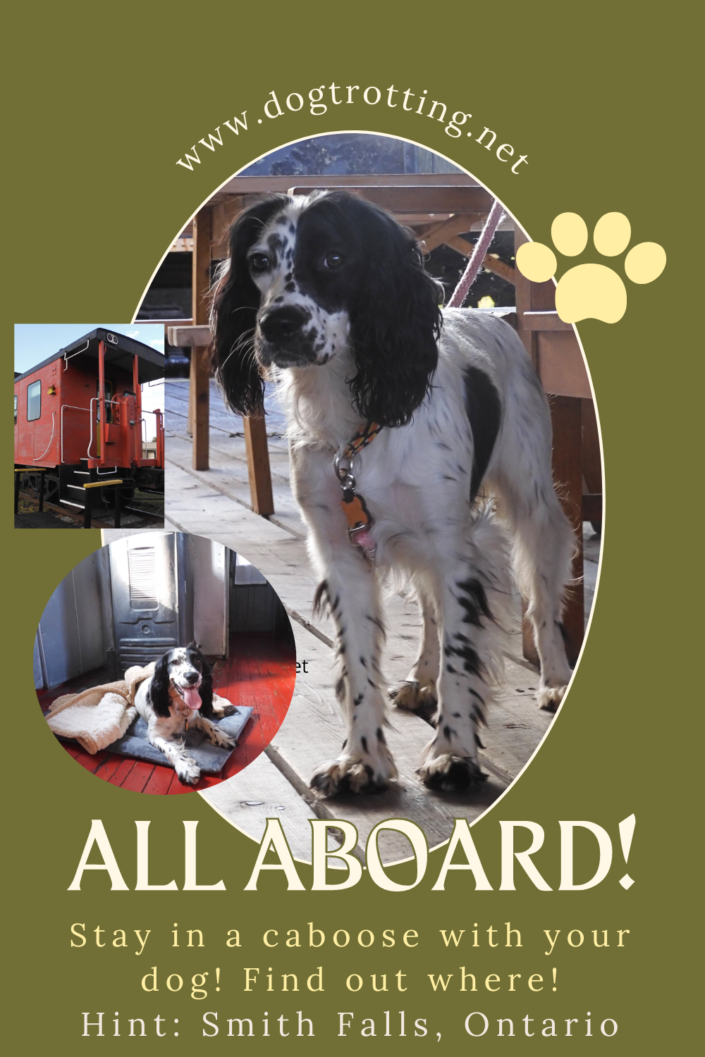 black and white dog on poster promoting post about staying in a caboose in Smiths Falls, Ontario, Canada