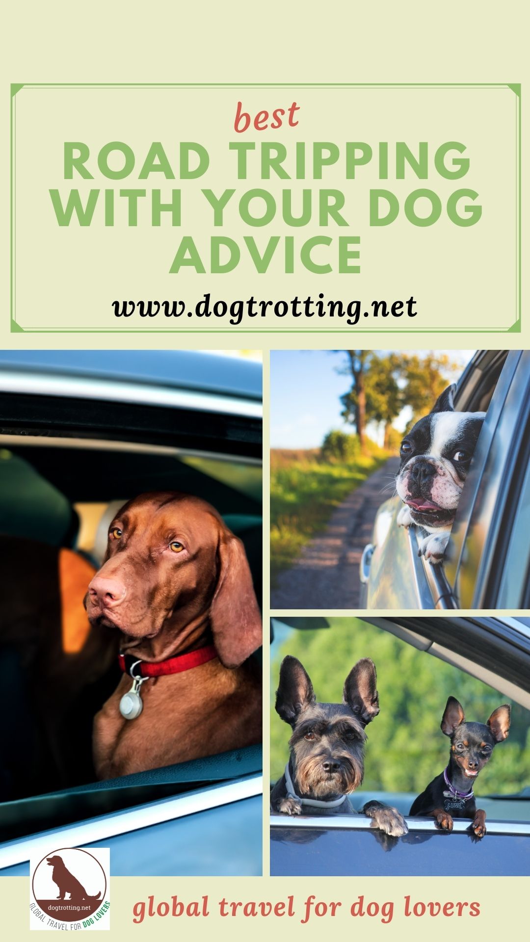 poster with three pics of dogs in cars advertising road trip with dog advice