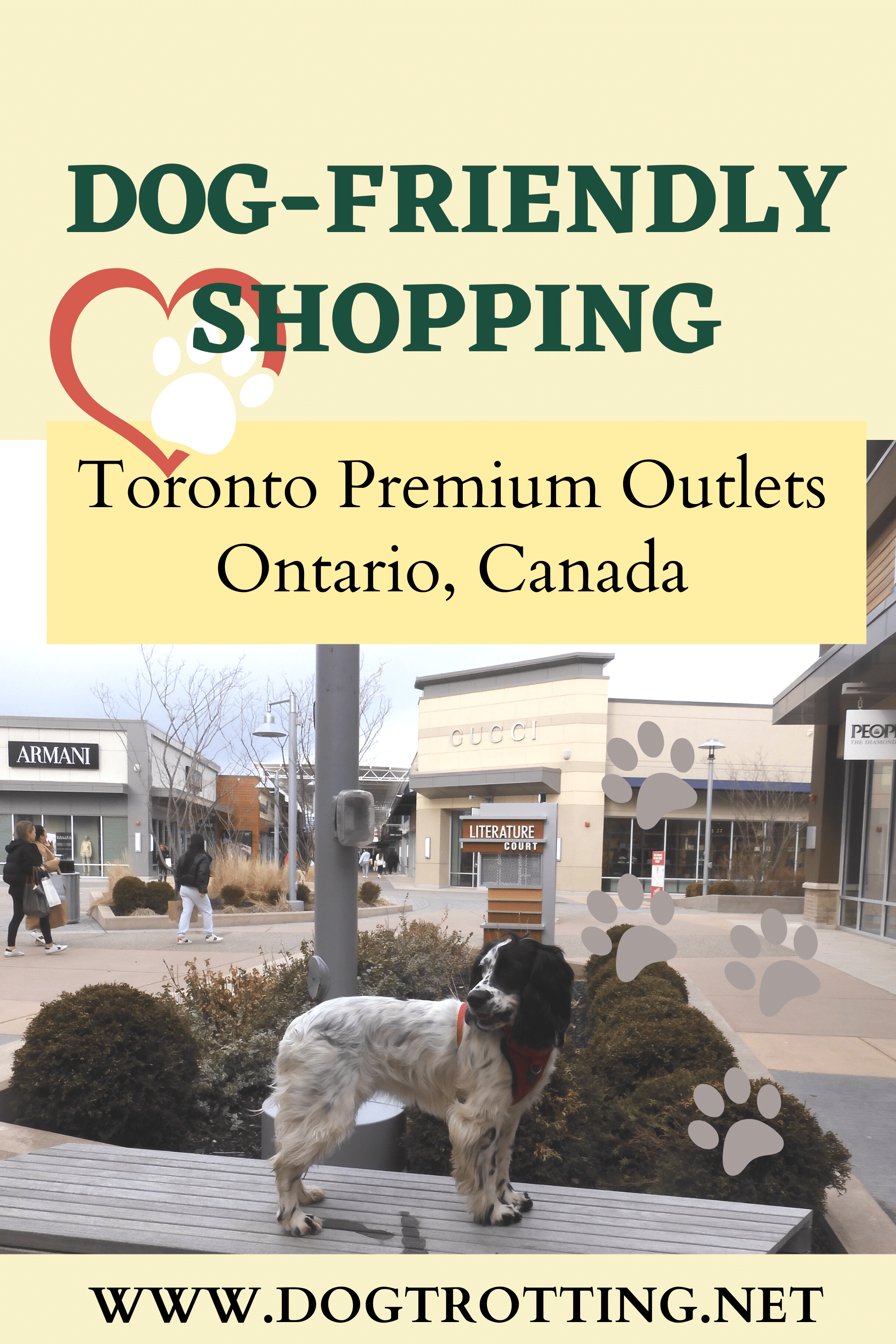 dog on bench promoting dog friendly shopping at Toronto Premium Outlets