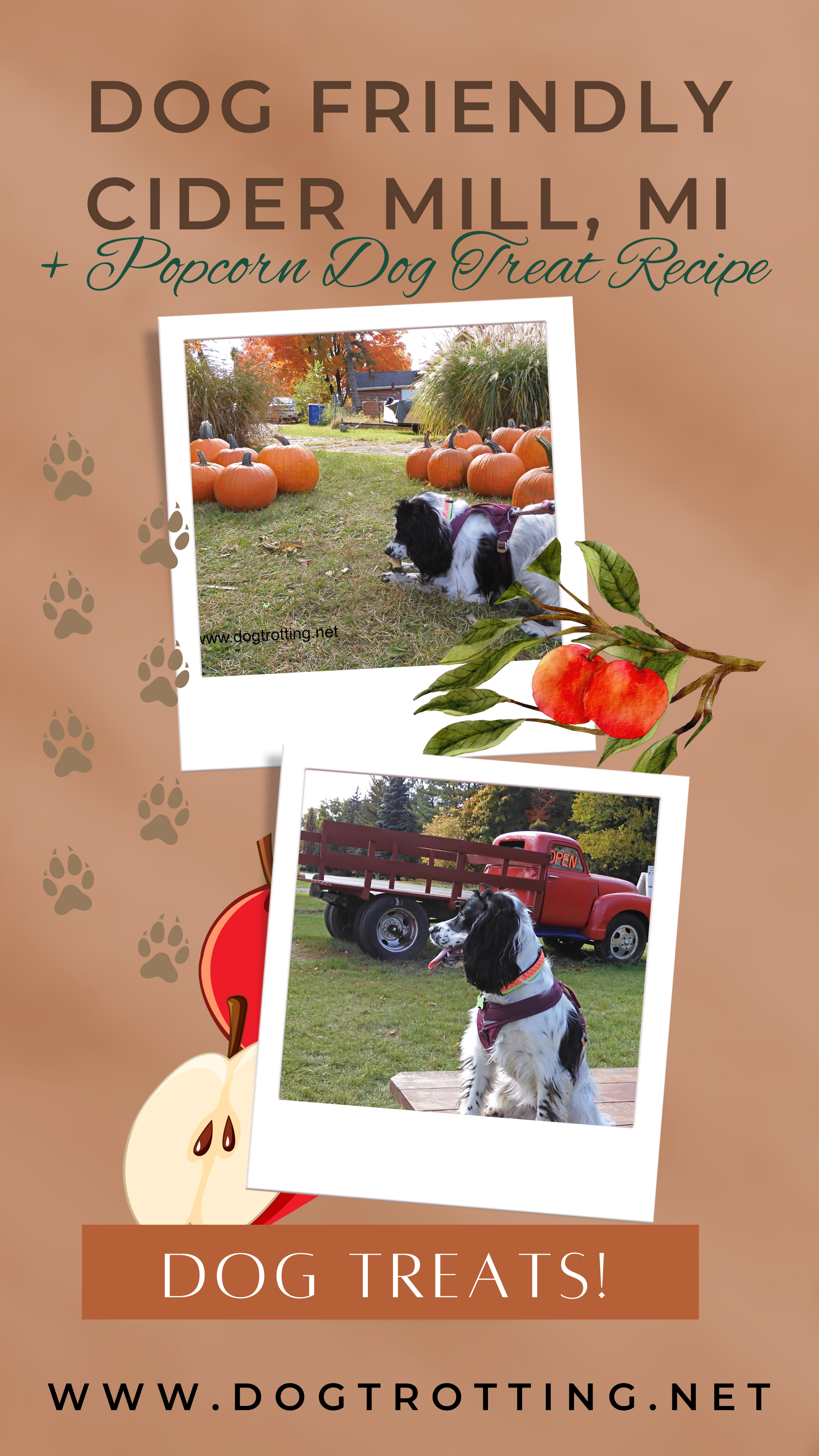 poster with pictures of dog promoting Dog Friendly Cider Mill in Michigan