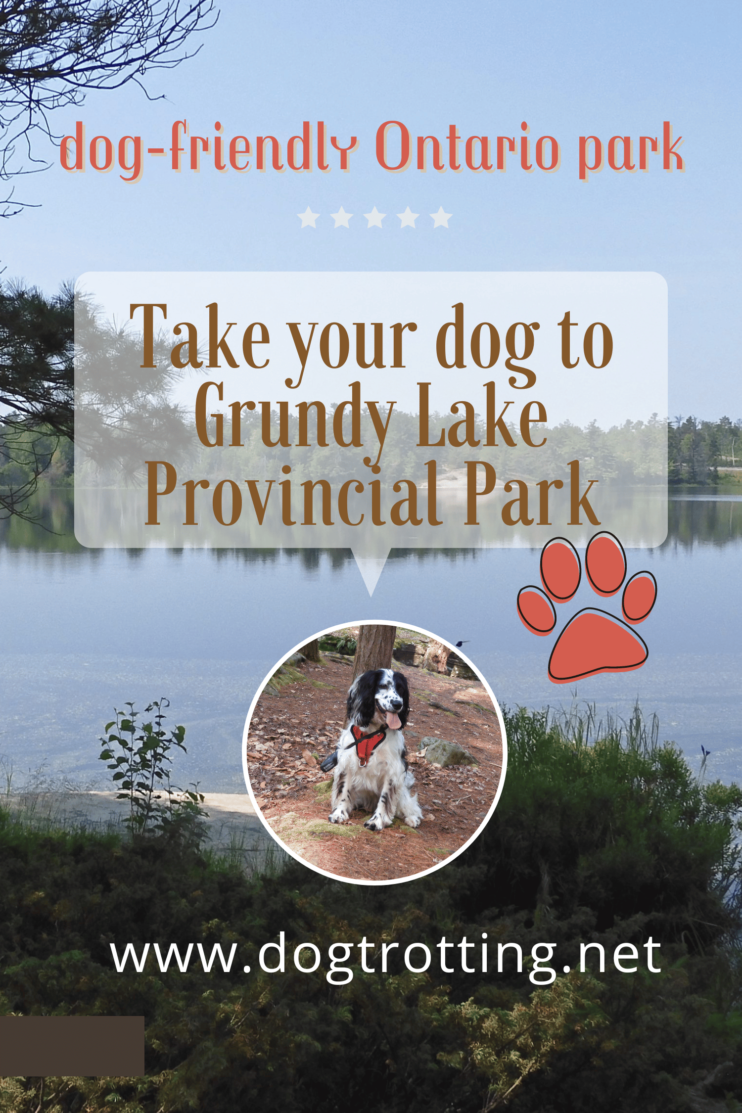 poster of Grundy Lake promoting dog-friendly Grundy Lake with small image of white and black dog