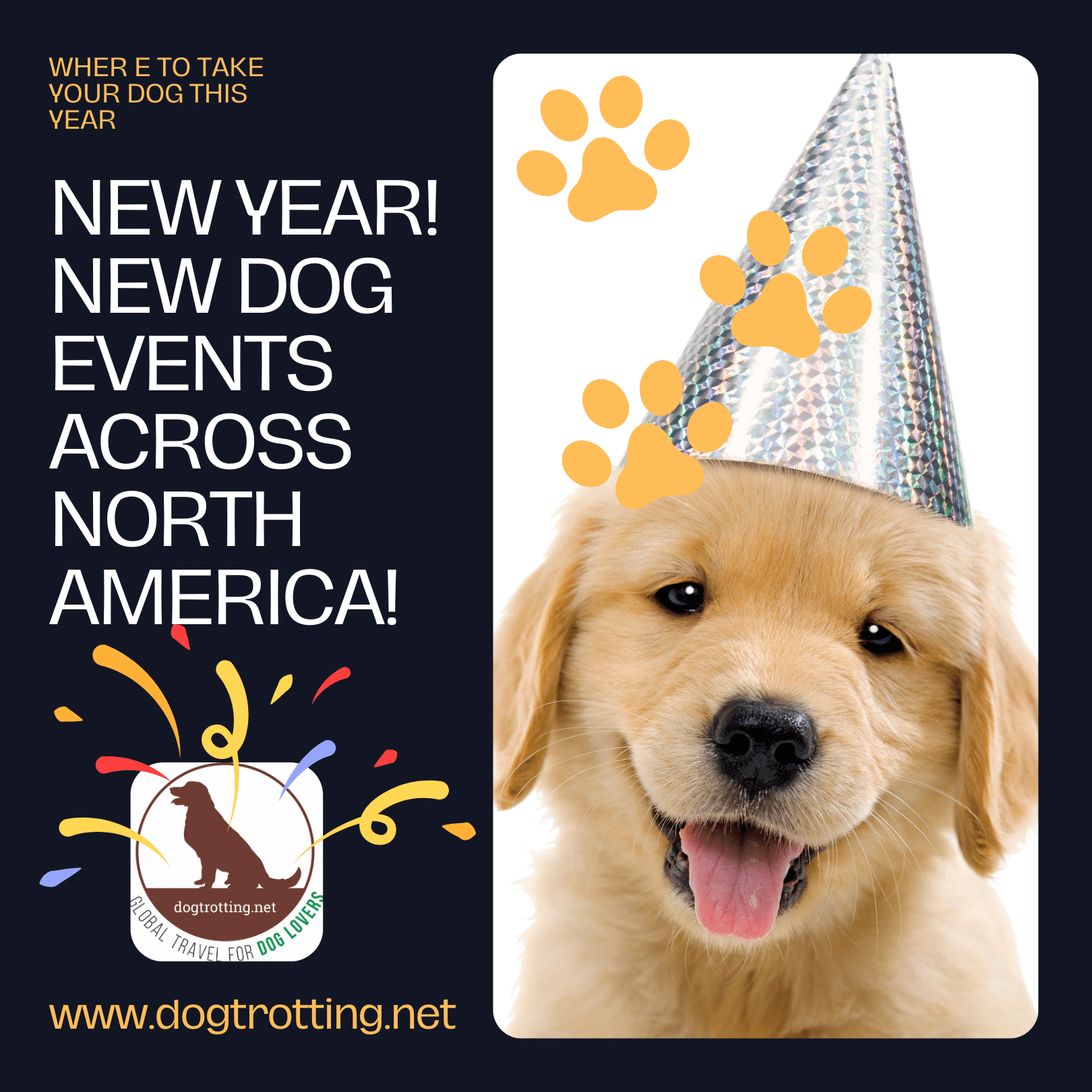 Blonde lab puppy with silver hat celebrating new dog events in the new year