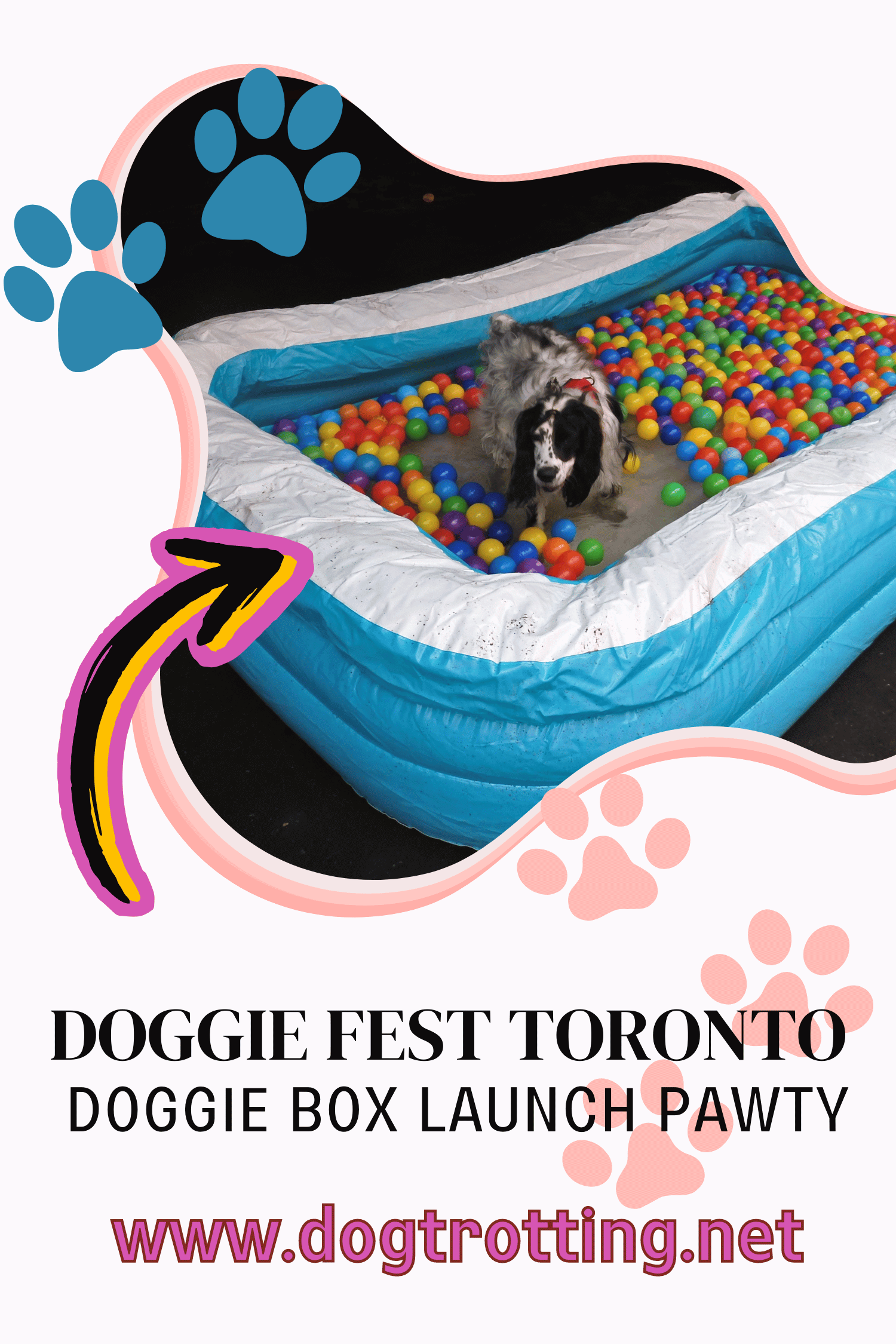 poster advertising doggie fest launch pawty blogpost