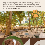 poster with image of Bryant Park NYC promoting post about dog friendly art workshops in the park