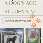 poster promoting A Dog's Age blog post - images include a Newfoundland dog stamp and poster for the exhibition