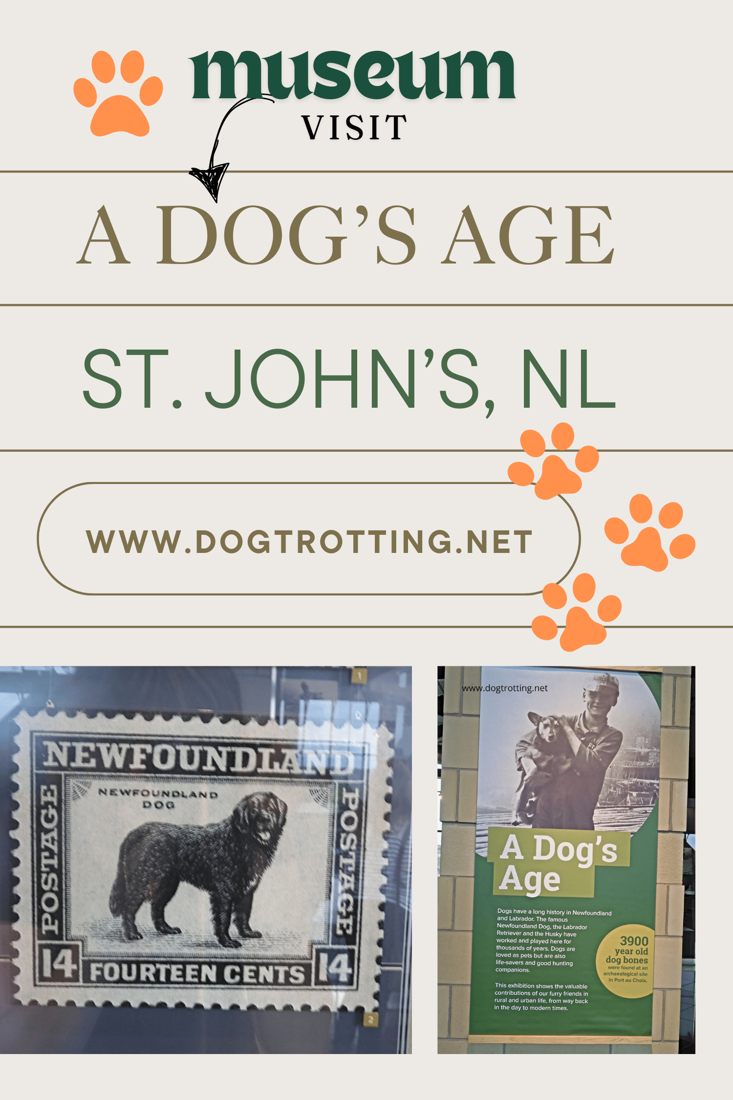 poster promoting A Dog's Age blog post - images include a Newfoundland dog stamp and poster for the exhibition