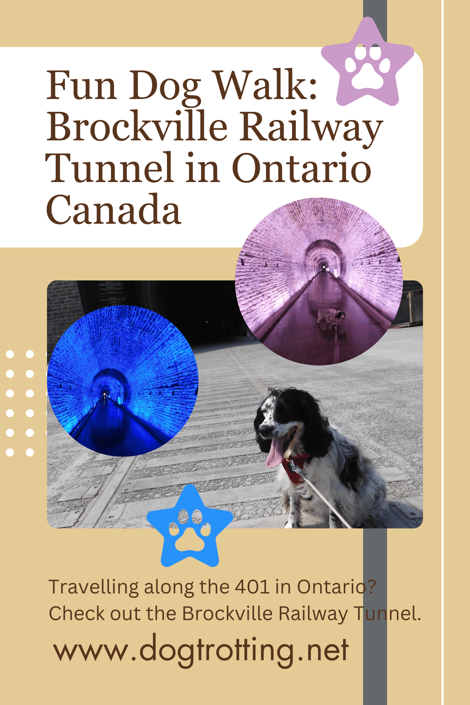 poster promoting dog friendly Brockville Railway Tunnel walk with your dog - black and white dog sitting in front of tunnel entrance