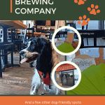 poster with black and white dog promoting dog-friendly Stray Dog Brewing Company and other dog friendly activities in Orleans Ottawa Ontario