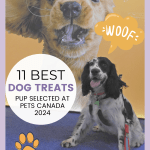 poster image promoting 11 best dog treats pup selected at Pets Canada 2024