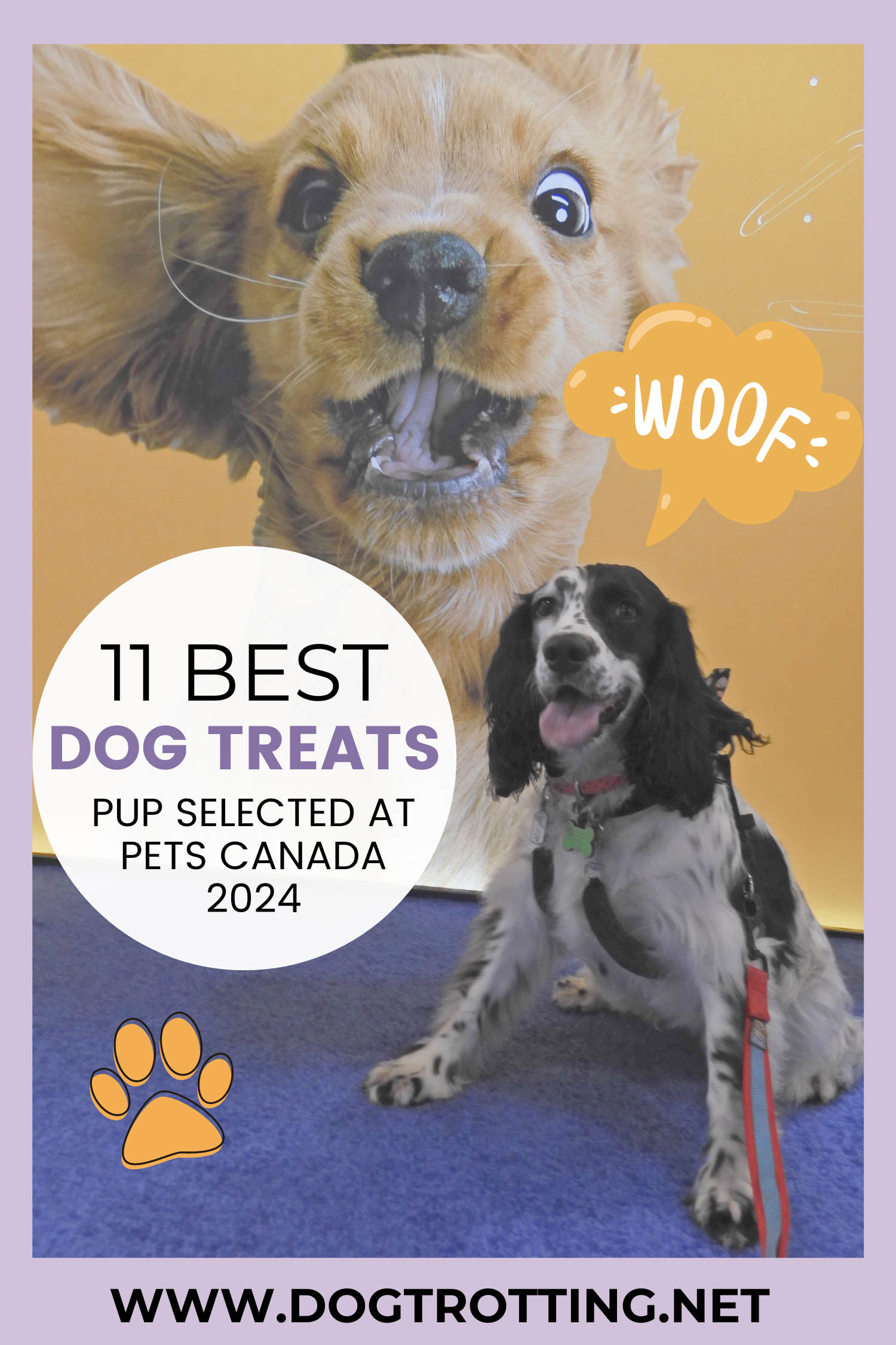 poster image promoting 11 best dog treats pup selected at Pets Canada 2024