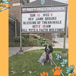 poster with dog in front of church with sign advertising Blessings with Pets