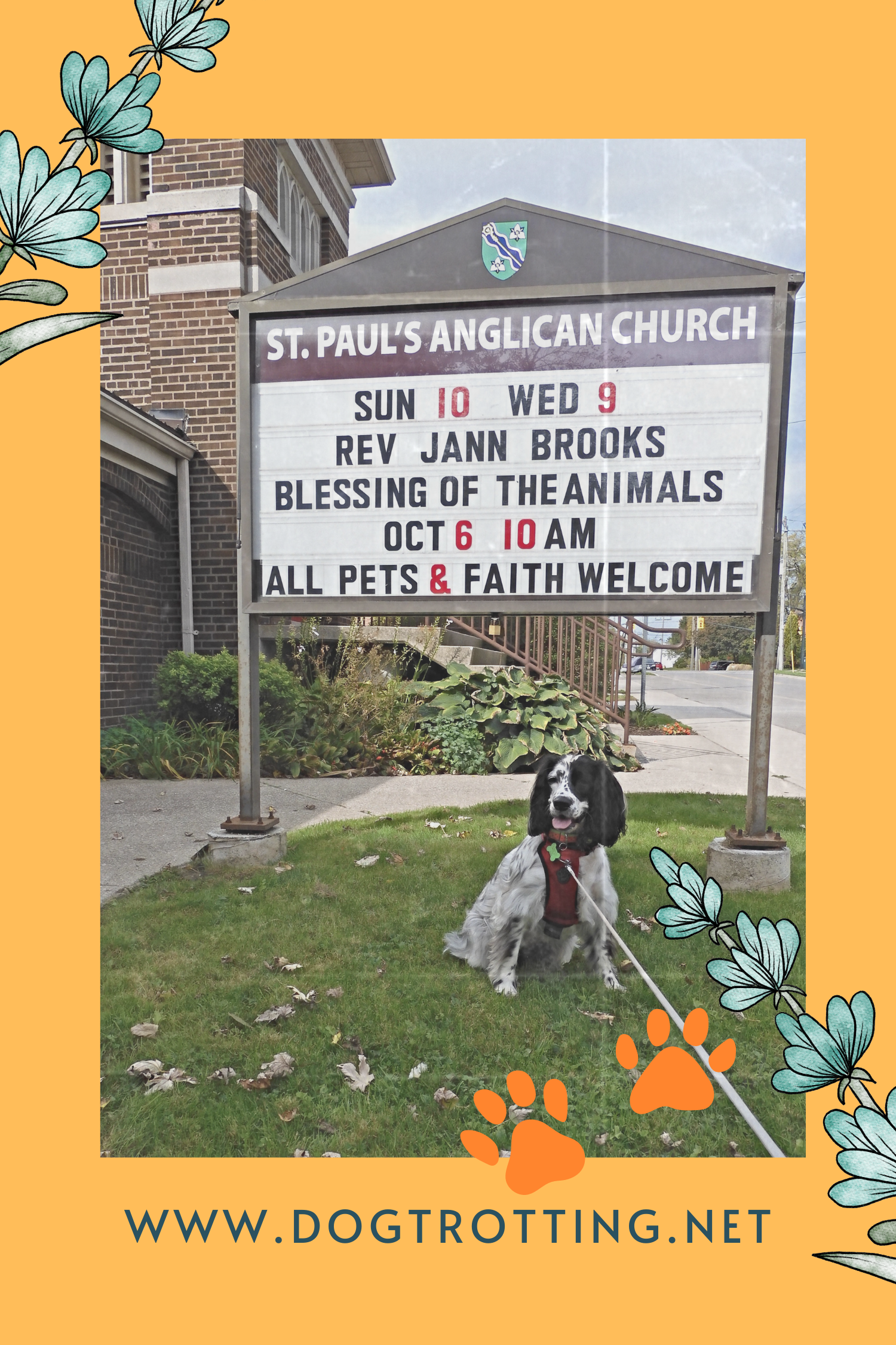poster with dog in front of church with sign advertising Blessings with Pets