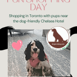 poster promoting dog friendly shopping near the Chelsea Hotel in Toronto