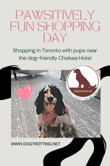 poster promoting dog friendly shopping near the Chelsea Hotel in Toronto