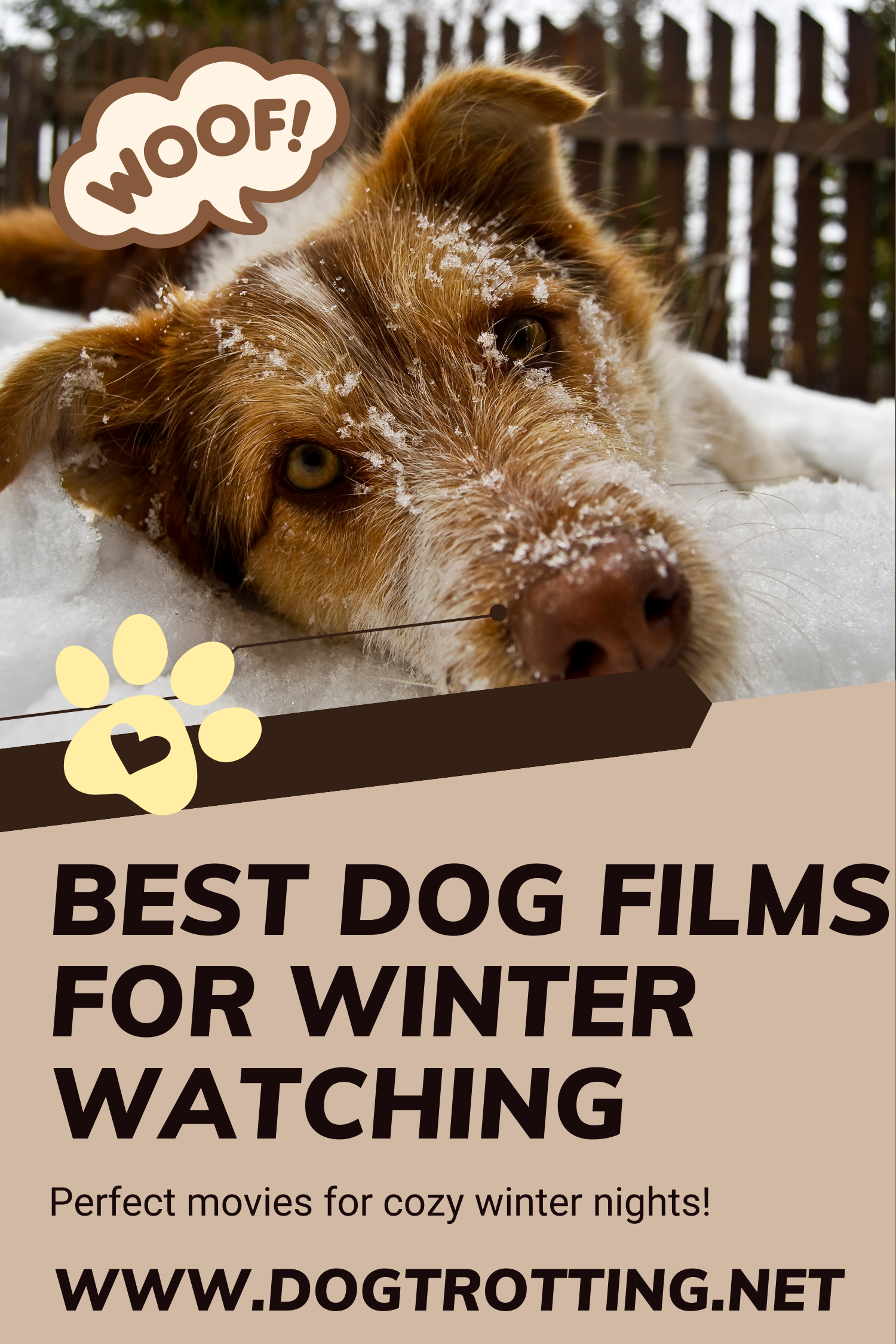 poster advertising best dog films for winter watching