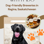 poster with black dog and beer flight promoting post about dog-friendly breweries in Regina, Sk