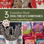 poster with images of dog cookies, treats, and cod skin chews promoting Canadian pet products