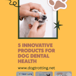 poster with image of dog and teeth promoting 5 innovative products for dog dental health article
