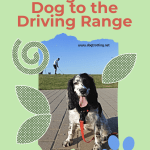 poster with black and white dog on driving range promoting 'bring your dog to the driving range' article