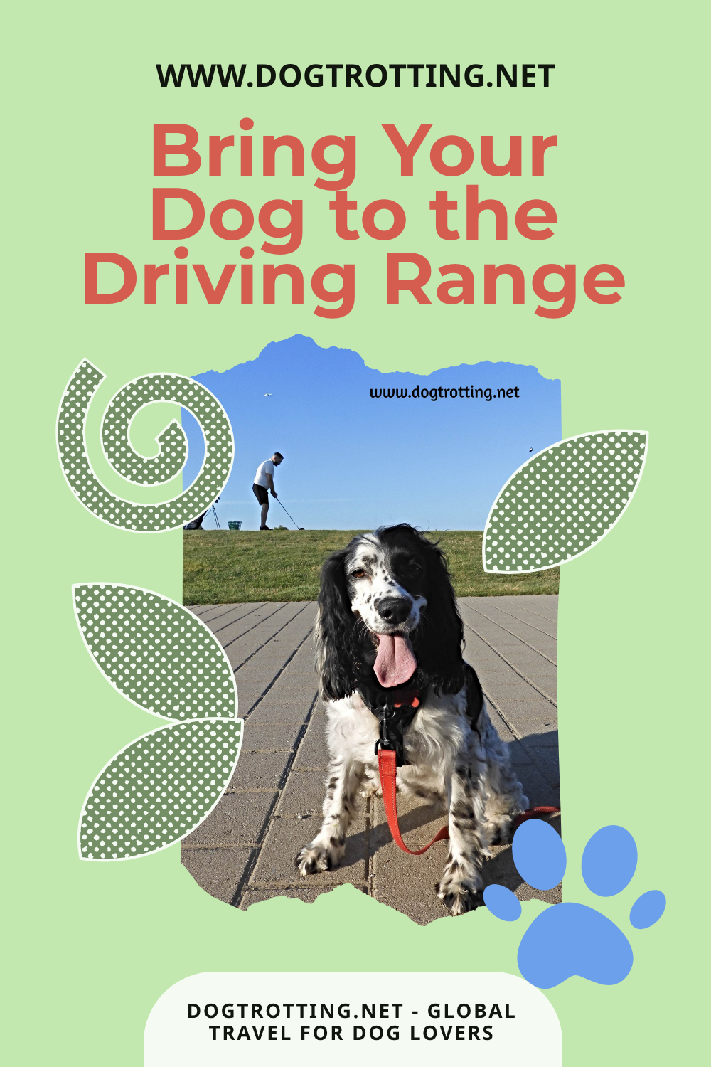poster with black and white dog on driving range promoting 'bring your dog to the driving range' article