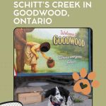 poster promoting taking your dog to Goodwood, Ontario to see Schitt's Creek filming sites