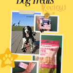 yellow poster with images of a dog and three dog treat products promoting 3 Icelandic dog treat review