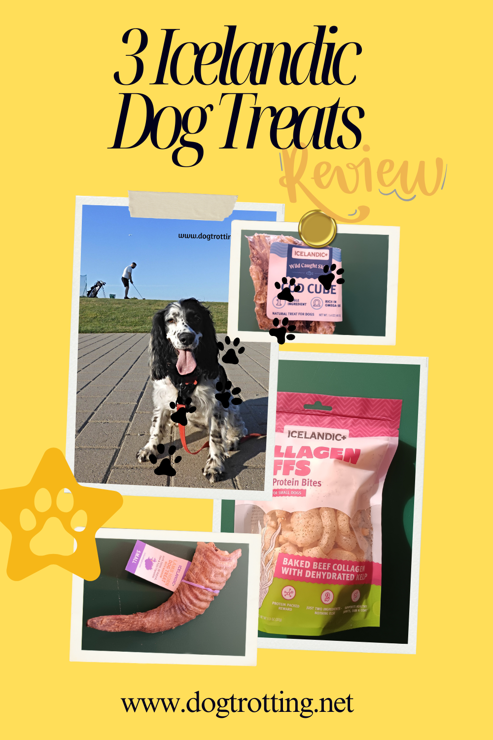 yellow poster with images of a dog and three dog treat products promoting 3 Icelandic dog treat review