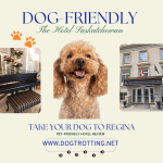 Poster with image of dog and two dog products promoting the article' Dog Friendly hotel in Regina