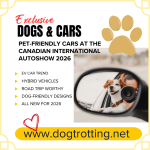poster with dog in car promoting blog post about dog friendly cars at the Canadian International Autoshow 2026