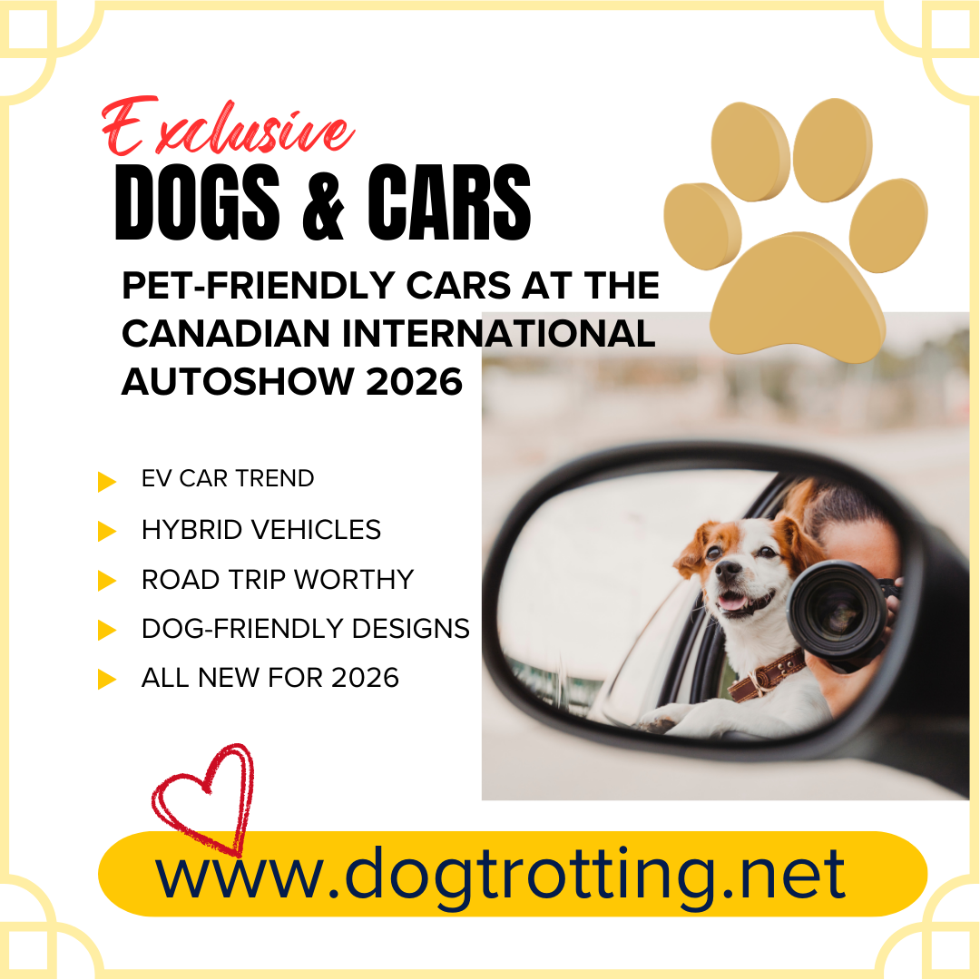 poster with dog in car promoting blog post about dog friendly cars at the Canadian International Autoshow 2026