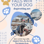 poster with pic of dog in front of Niagara Falls promoting Niagara Falls Parkway walk with your dog blog post