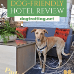 poster with brown dog in hotel lobby stating this article is a hotel review of the dog-friendly Parkside Hotel in Victoria, BC