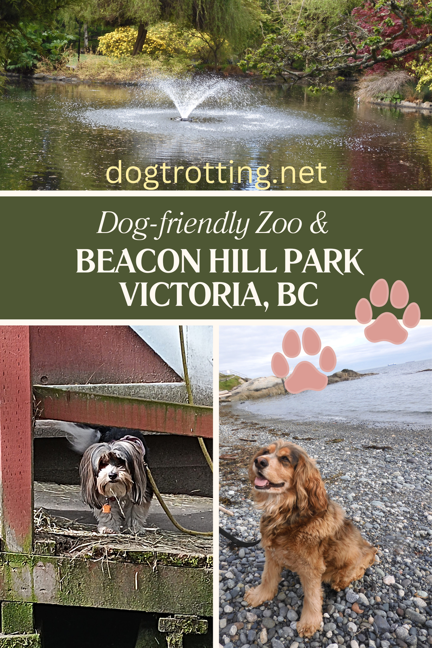 poster with three photos - one of a cocker spaniel dog on a rocky beach, one small dog on ramp in farm and a water fountain in park - promoting a blog post about dog-friendly Beacon Park HIll in Victoria BC