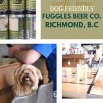 poster with three images of a dog in a brew pub promoting dog friendly Fuggles Beer Co.