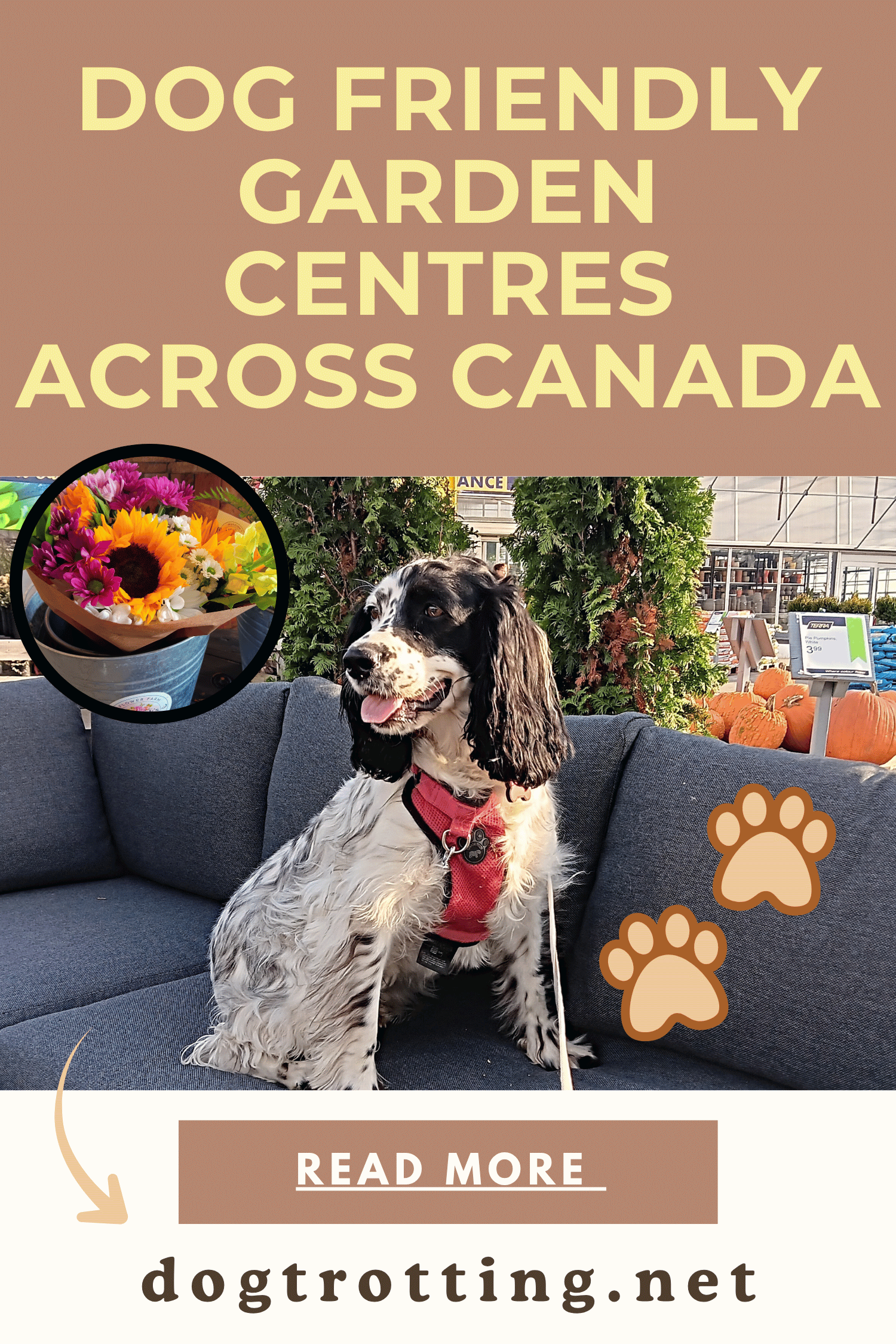 poster with pic of white and black dog on a patio couch in a garden centre promoting the article ' dog friendly garden centres across canada.