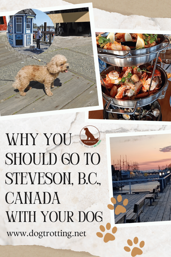 poster with images of a fluffy beige dog, seafood tier, and a harbour sunset promoting dog-friendly Steveston Village in British Columbia