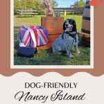 poster with dog sitting in front of boxes and British flag on a gree field