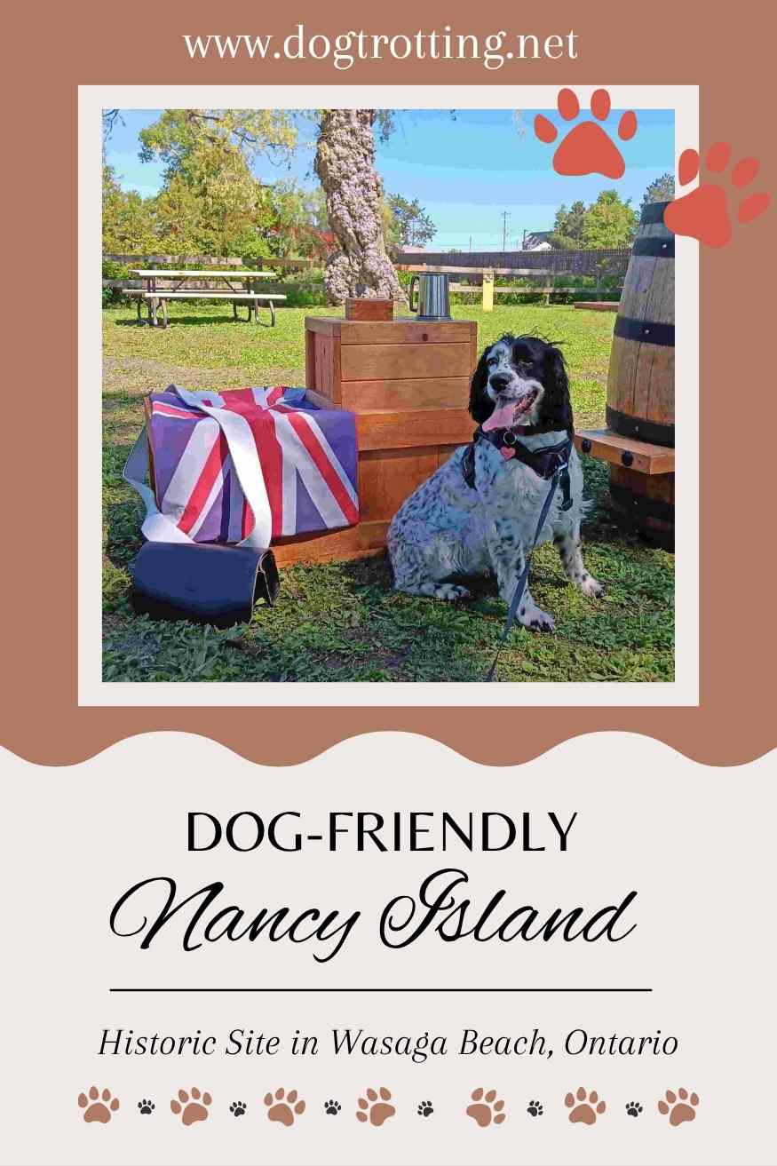 poster with dog sitting in front of boxes and British flag on a gree field