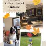 poster promoting dog friendly hockley valley resort review article