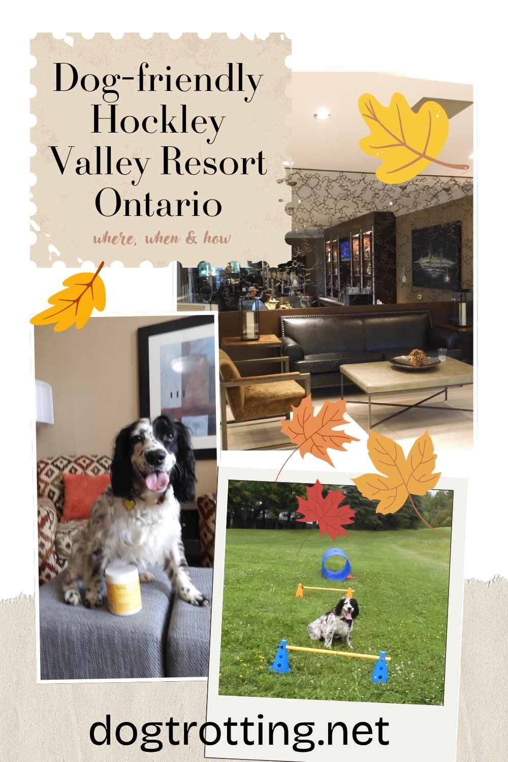 poster promoting dog friendly hockley valley resort review article