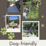 poster with four images of dogs and outdoors promoting article about dog friendly minden hills ontario