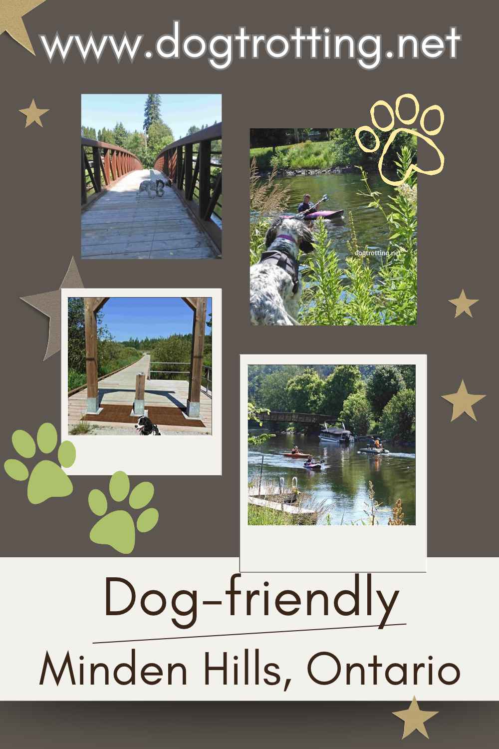 poster with four images of dogs and outdoors promoting article about dog friendly minden hills ontario